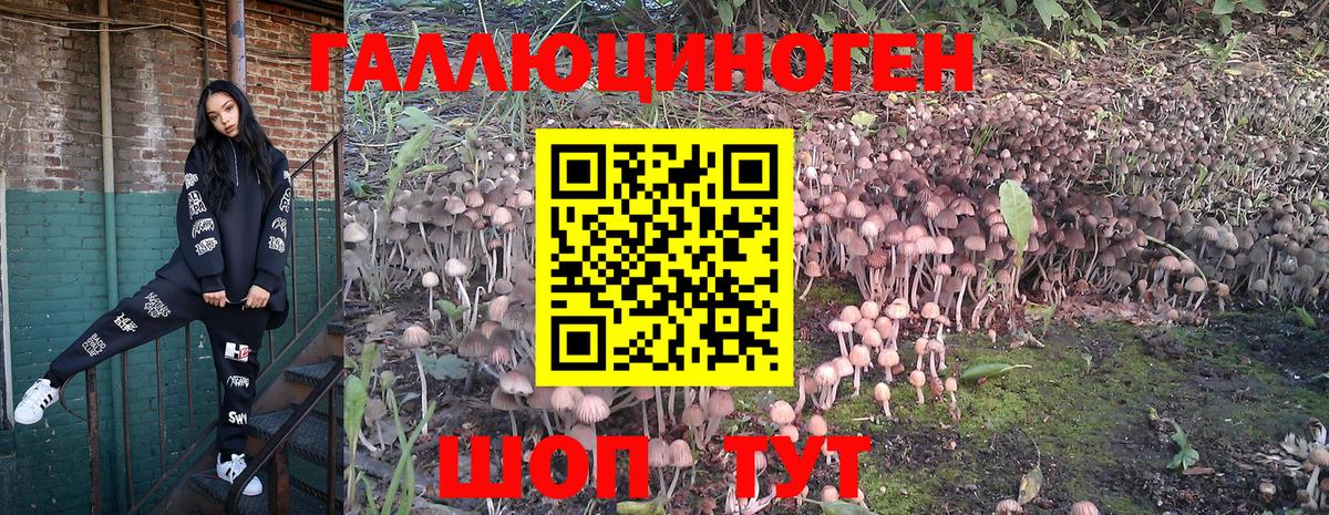 Галлюциногенные грибы Psilocybe  Вход с VPN  Новоуральск 